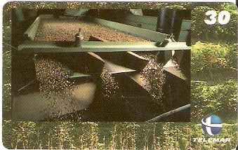 ES-251 - Cafeicultura - 4/4