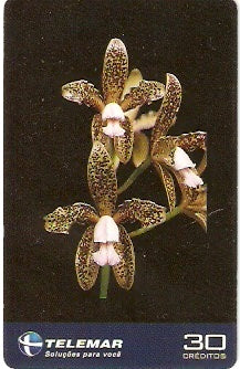 ES-343 - Orquídeas - 1/4