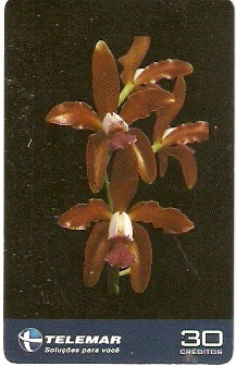 ES-344 - Orquídeas - 2/4