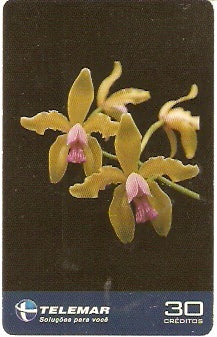 ES-345 - Orquídeas - 3/4