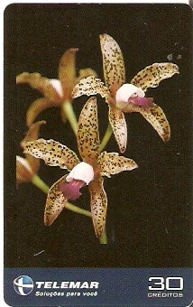 ES-346 - Orquídeas - 4/4