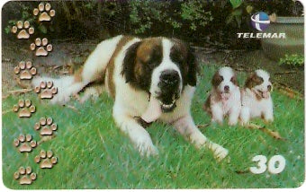 BA-771 - Cachorros - 06/10