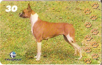BA-766a - Cachorros - 01/10