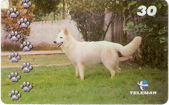 BA-772 - Cachorros - 07/10