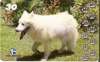 BA-767 - Cachorros - 02/10