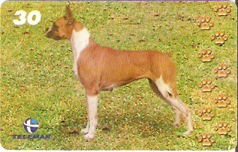 BA-766c - Cachorros - 01/10