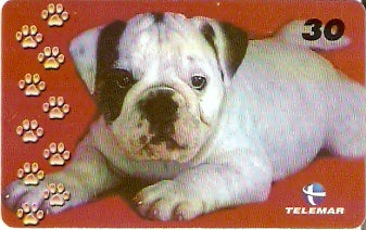 BA-877 - Cachorros - 02/10