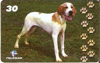 BA-878 - Cachorros - 03/10