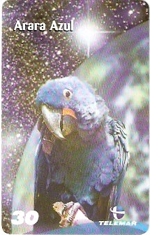 BA-938 - Fauna - 08/10