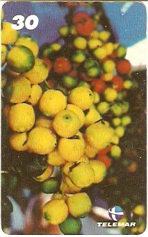 PA-475 - Frutas - 10/12