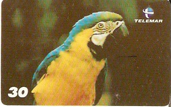 PA-487 - Aves - 1 - 1/6