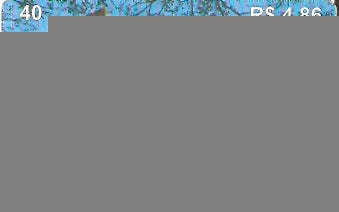 LON08-15 - Hospital Evangélico