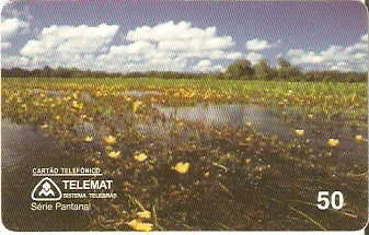 MT-057 - Pantanal Matogressense