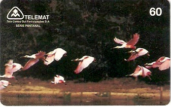 MT-074 - Revoada de Colhereiro