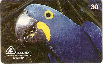 MT-075 - Arara Azul