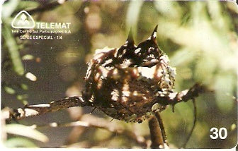 MT-082 - Meio-Ambiente - 1/4