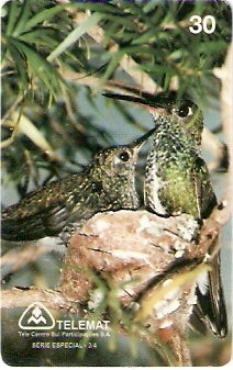 MT-084 - Meio-Ambiente - 3/4