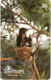 MT-083 - Meio-Ambiente - 2/4