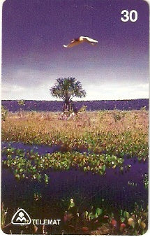 MT-098 - Pantanal de Mimoso