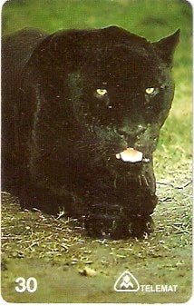 MT-104 - Onça Preta - D1