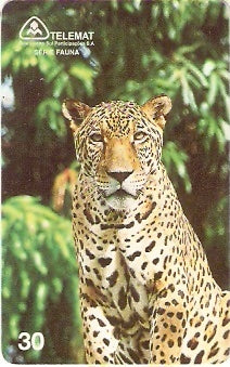 MT-103 - Onça Pintada