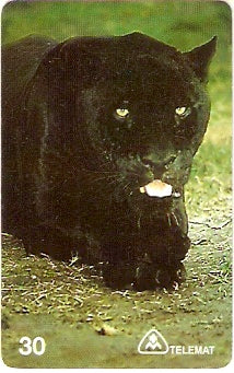 MT-105 - Onça Preta - D2