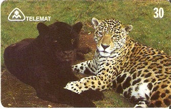 MT-109 - Onça Pintada