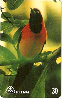 MT-123 - João Pinto