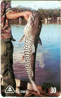 MT-120 - Telecartofilia - 08/12