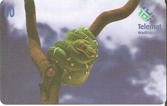 MT-159 - Cobra Papagaio - 60 C