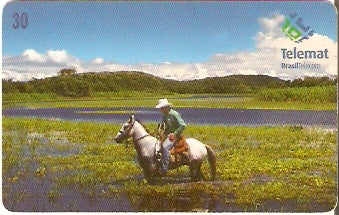 MT-161 - Cavalo Pantaneiro