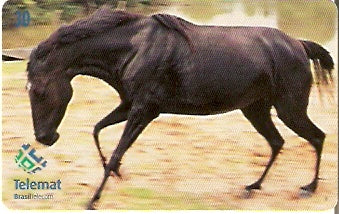 MT-165 - Garanhão