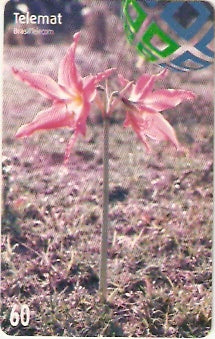 MT-173 - Flores - 02/10