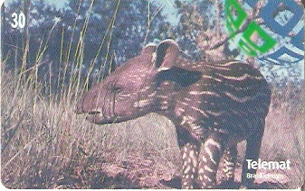 MT-172 - Filhote de Anta