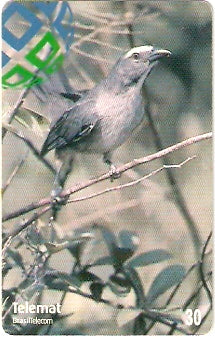 MT-175 - Aves - 02/10