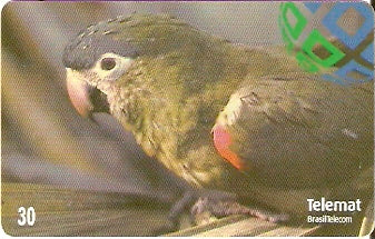 MT-178 - Aves - 01/10