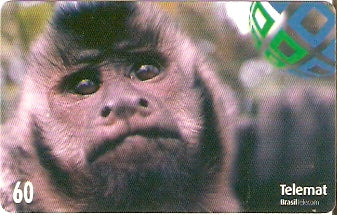 MT-179 - Animais - 01/10