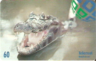 MT-244 - Animais - 05/10