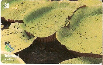 MT-261 - Vitória Régia - 3/4