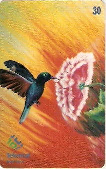 MT-277 - Artistas Regionais - 07/10