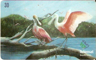 MT-278 - Artistas Regionais - 08/10