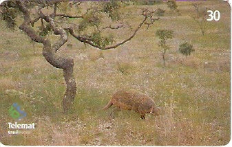 MT-307 - Animais - 07/10