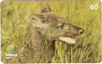 MT-308 - Animais - 09/10