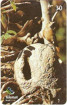 MT-328 - Aves - 07/10