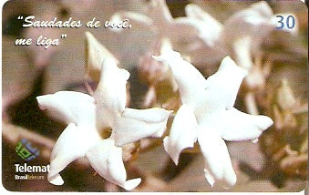 MT-334 - Flor Branca