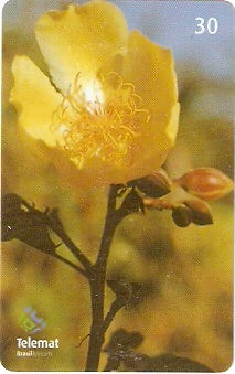 MT-405 - Flores - 08/10