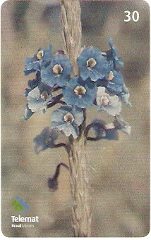 MT-374 - Flores - 06/10