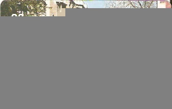 CTBC-T-0266M - Bridge - Verde