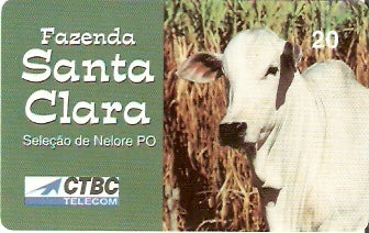 CTBC-T-0269 - Raça Nelore