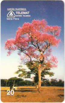 MT-037M - Ipê Roxo